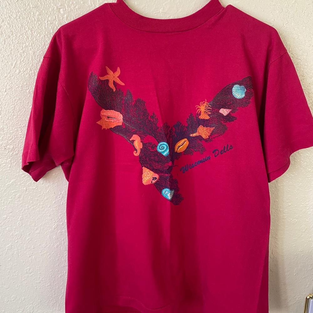 wisconsin dells tshirt